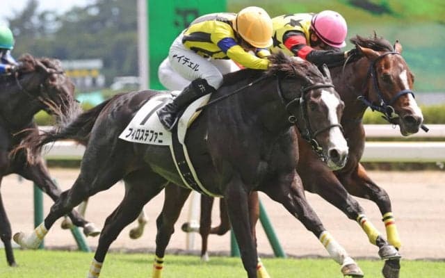 【新馬/新潟3R】ソールオリエンス半妹・フィロステファニがデビューV