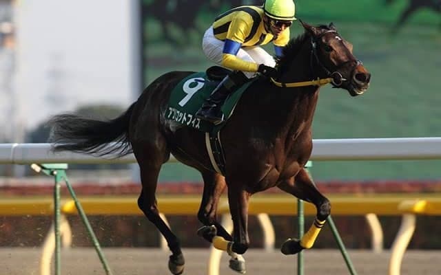 武豊騎手最軽量重賞勝利の一頭 アプリコットフィズのクイーンS勝利