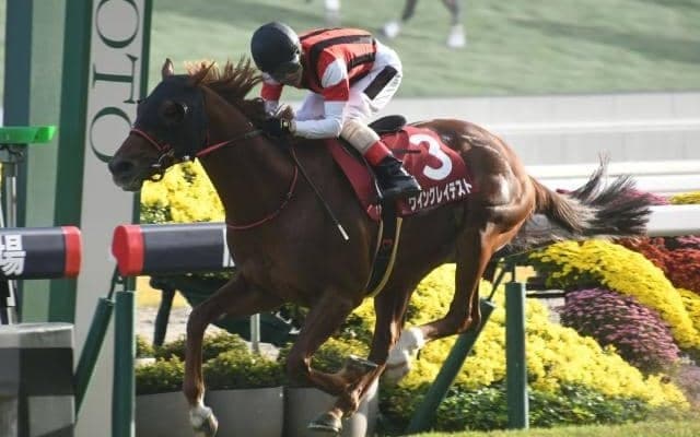 【アイビスSD予想】能力やコース適性は証明済み AIは魅力ある一頭を指名