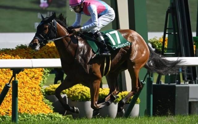 【アイビスSD出走馬・騎手確定】ピューロマジック＆C.ルメール騎手、テイエムスパーダ＆斎藤新騎手など18頭