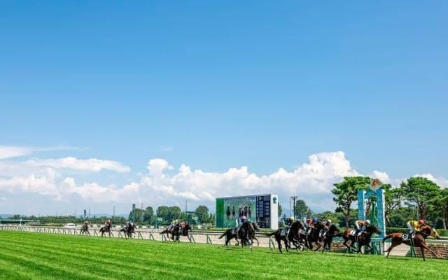 競馬場内外のグルメ満喫や一時帰宅も？ 「競走時間帯の拡大」が生んだ夏競馬の“新風景”