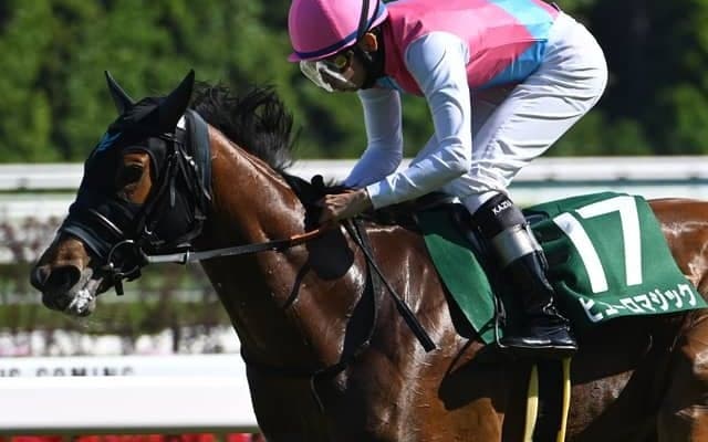 【アイビスSD枠順確定】ピューロマジックは3枠6番、テイエムスパーダは7枠13番