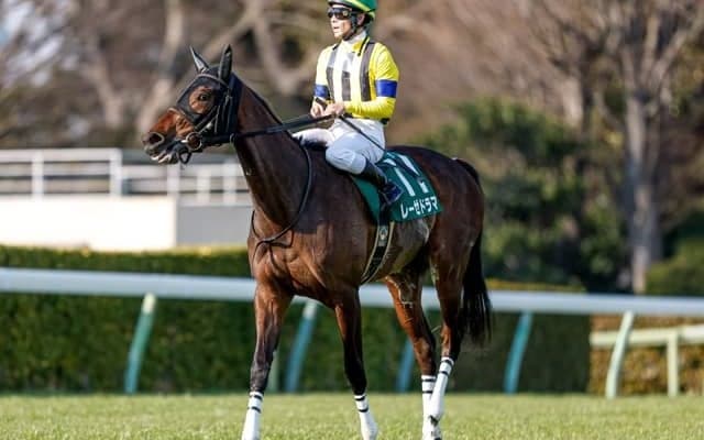 【クイーンS枠順確定】レーゼドラマは5枠7番、アルジーヌは6枠10番