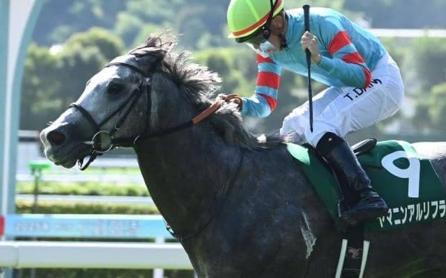 【CBC賞想定馬・騎手】ヤマニンアルリフラ、ジューンブレアなど19頭