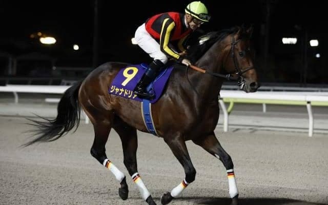 【レパードS想定馬・騎手】ジャナドリア、ヴィンセンシオなど23頭