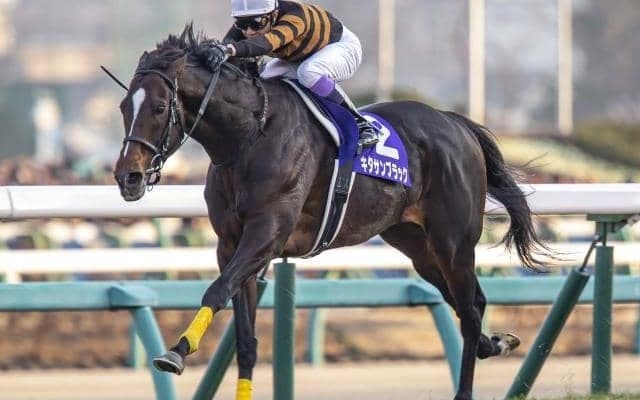 母は米G1馬 キタサンブラック産駒のフォルナックスがデビューV狙う