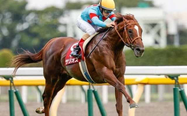 「ウマ娘」藤田晋オーナーの2.6億円馬 サンダーバードが武豊騎手で初陣だ