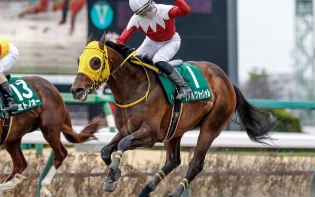 【エルムS想定馬・騎手】ヴァルツァーシャル、ウィリアムバローズなど16頭