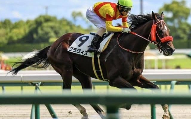 兄姉2頭が海外G1馬 グラヴィスが待望の3勝目なるか