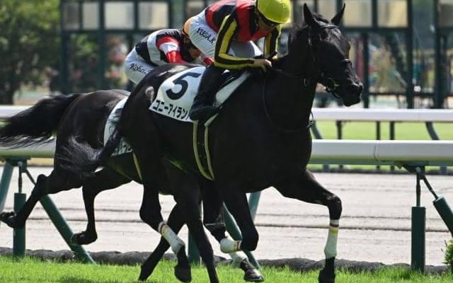 【中京2R新馬戦結果】リバティアイランドの半妹コニーアイランドが初陣飾る