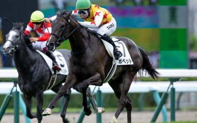 【札幌5R新馬戦結果】サトノクラウン産駒ポペットが突き抜けてV