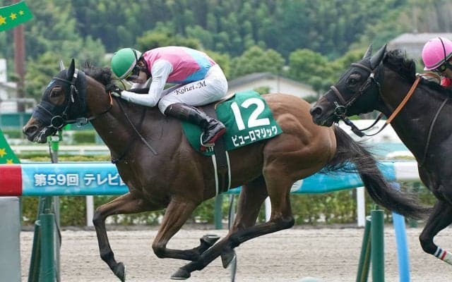 【競馬予想】万馬券が続出のアイビスSDで注目すべき血統は？　芝1000ｍを駆け抜けそうな２頭をチェック