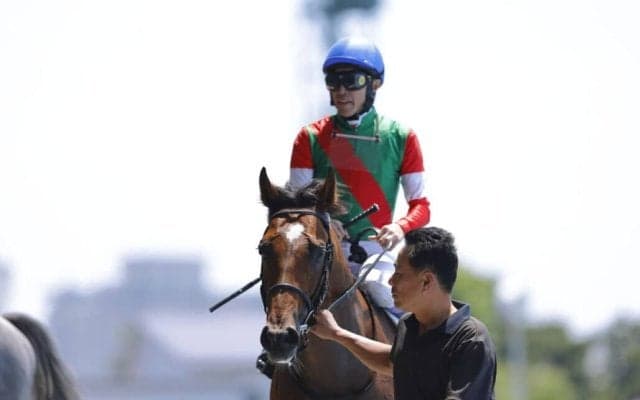 武豊騎手 今週の騎乗馬…JRA通算4600勝まであと4勝