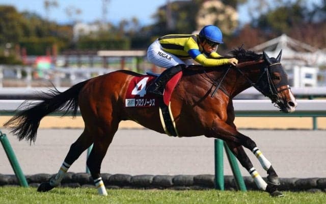プログノーシスの競走馬登録抹消…種牡馬入り