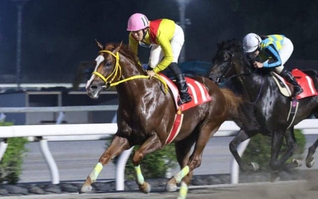 【高知・物部川特別】塚本征吾騎手＆ミスズグランドオーが力強く押し切る…高知初白星