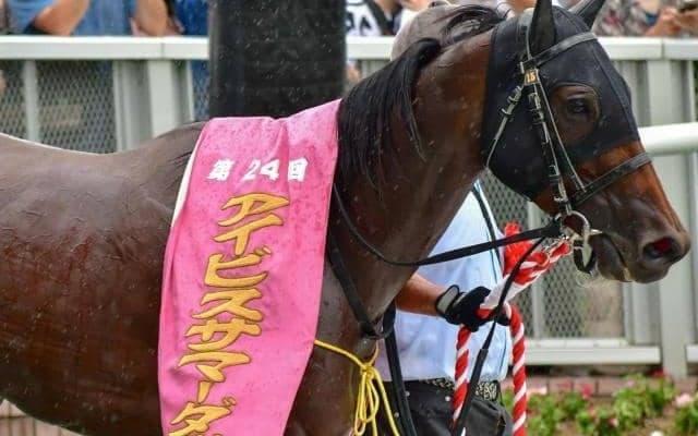 【アイビスSD】牝馬が強い一戦 内枠勢の戦法にも要注意