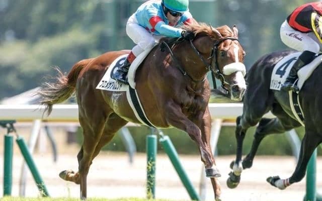 【新潟4R新馬戦結果】アーモンドアイの仔プロメサアルムンドがC.ルメール騎手とのコンビでV！