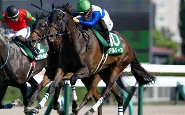 【クイーンS結果】アルジーヌが人気に応えて重賞2勝目