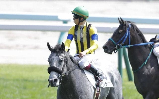 【札幌1R】カラヴァッジオ産駒 アンティミストが初勝利