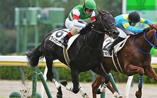 3歳馬によるダート重賞レパードSなど3重賞/今週の競馬界の見どころ