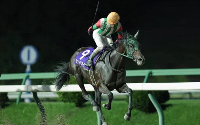 【盛岡・ひまわり賞】ミナトミナイトが完勝！精神面の成長で4馬身差圧勝