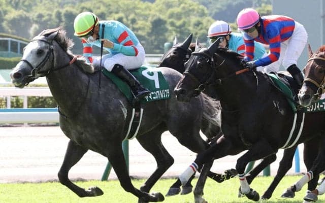 【CBC賞登録馬】3連勝中ヤマニンアルリフラなど19頭