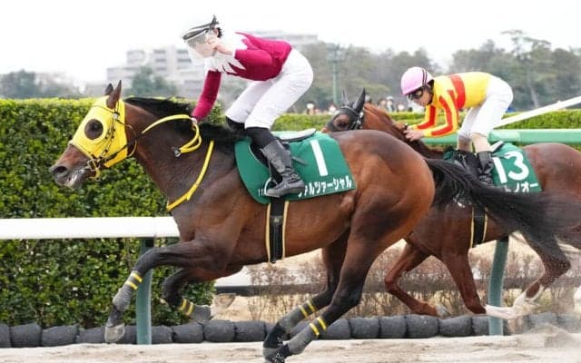 【エルムS登録馬】ヴァルツァーシャルなど17頭