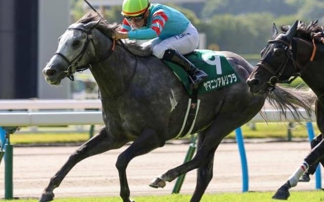 【CBC賞見どころ】ヤマニンアルリフラの4連勝に期待
