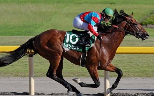 第1回覇者トランセンドは2位 レパードSの勝ち時計ランキング