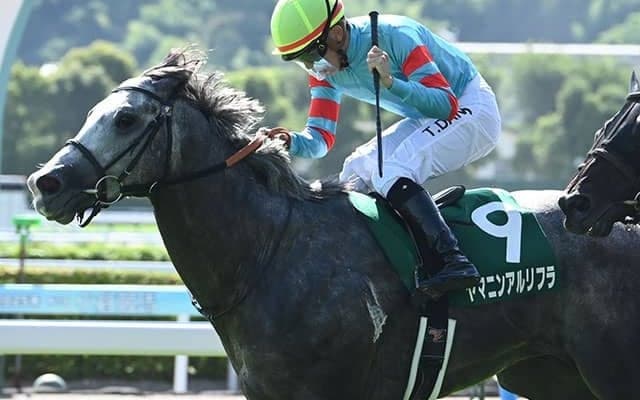 【CBC賞想定騎手】ヤマニンアルリフラは団野大成騎手、ジューンブレアは武豊騎手