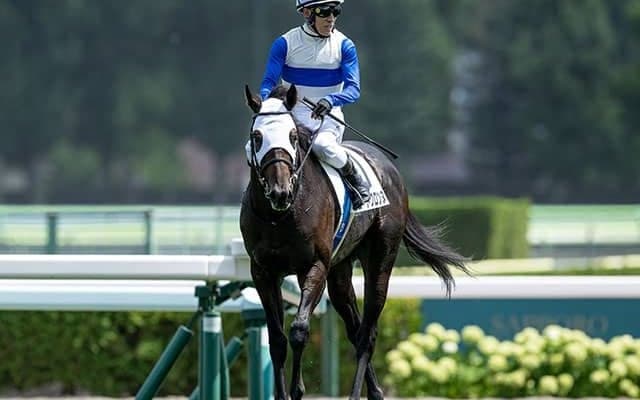 【エルムS想定騎手】ロードクロンヌは藤岡佑介騎手、ドゥラエレーデは松山弘平騎手