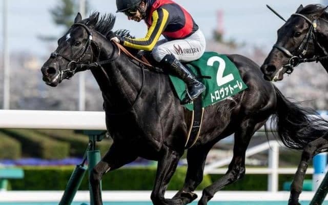 【エルムS】初ダートで重賞2勝目なるか 良血トロヴァトーレが参戦