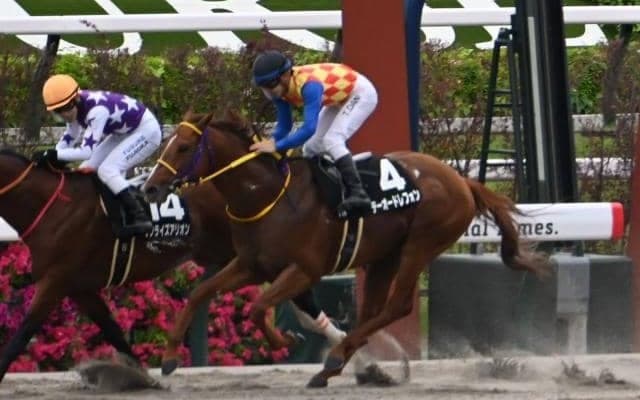 【エルムS展望】好走傾向がはっきりしたレースで妙味も十分