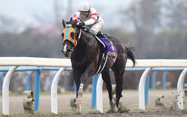 GI級・10勝ホッコータルマエの活躍はここから 初重賞制覇を果たしたレパードＳ