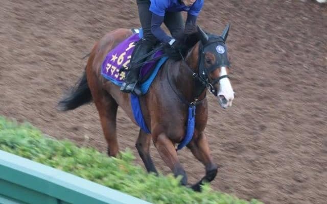 ママコチャなど、先週の入厩情報/栗東トレセンニュース