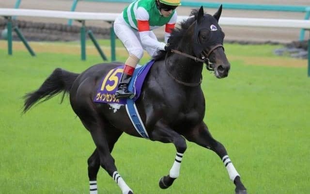 【レパードS】レース史上初の初ダートでの戴冠なるか 良血ヴィンセンシオが参戦