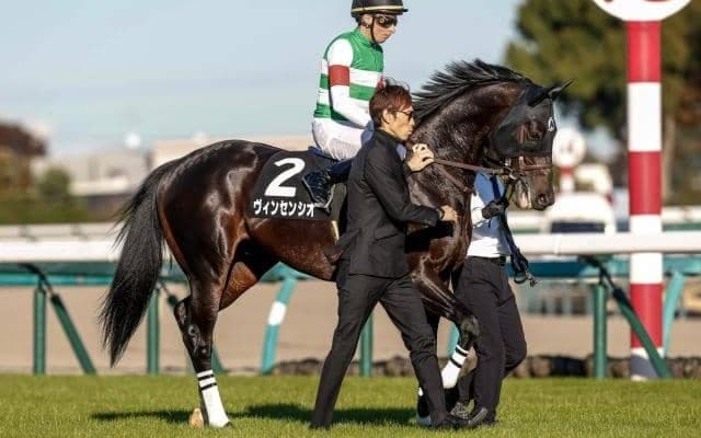 【レパードS予想オッズ】ヴィンセンシオが予想1番人気