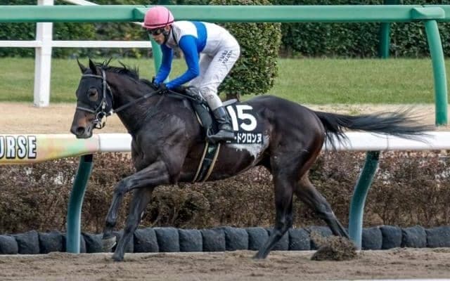 【エルムS予想オッズ】ロードクロンヌが予想1番人気