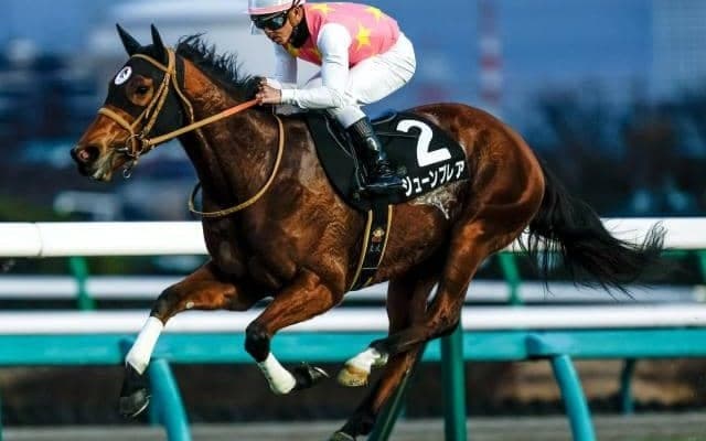 【CBC賞予想オッズ】ジューンブレアが予想1番人気