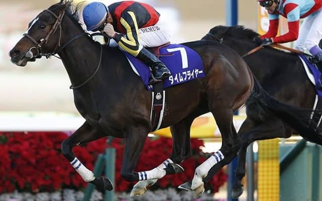 ホープフルS覇者によるダート重賞制覇 タイムフライヤーが制した20年エルムS