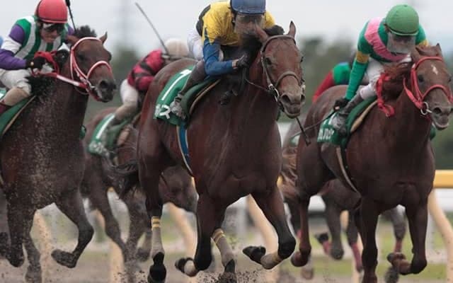 ディープインパクト産駒初のダート重賞勝利 ボレアスのレパードS