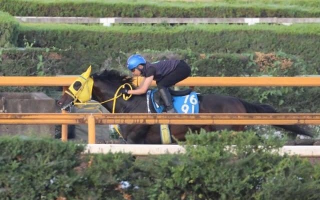 ブルーミンデザイン、中京記念1週前追い切り速報/栗東トレセンニュース