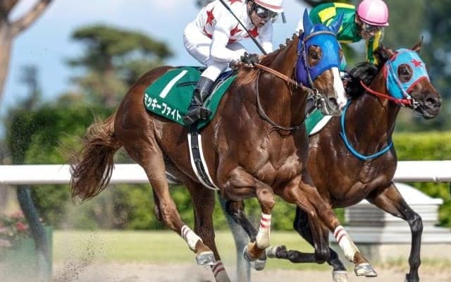 過去の勝ち馬には名馬ズラリ 「レパードS」は昨年からジャパンダートクラシックの前哨戦に