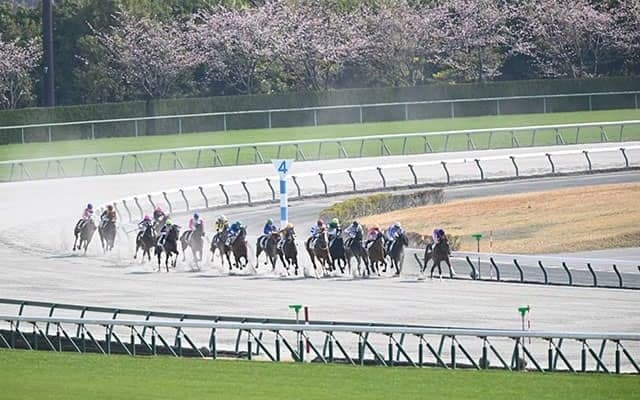 昨年から実施の「競走時間帯の拡大」 今年から中京競馬にも導入した理由は？