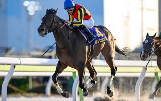 【レパードS出走馬・騎手確定】ジャナドリア＆戸崎圭太騎手、ヴィンセンシオ＆C.ルメール騎手など15頭