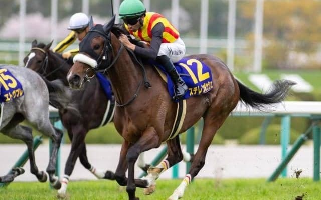 半姉は桜花賞馬のステレンボッシュ 3歳のフランシュフックがダートで初陣だ