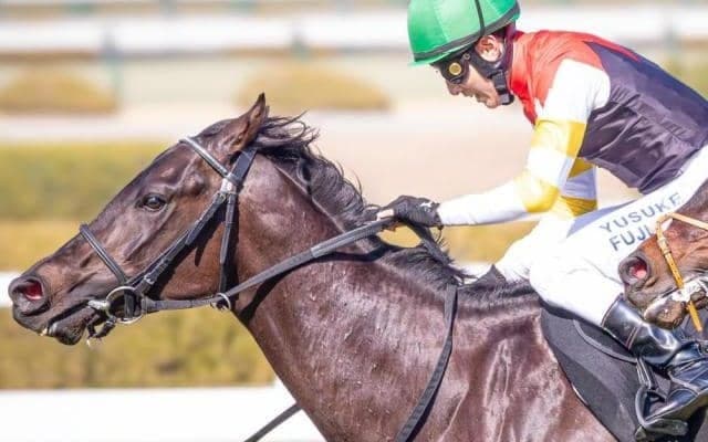 母は名牝ラキシス ミラージュナイトが必勝期す自己条件での復帰戦だ