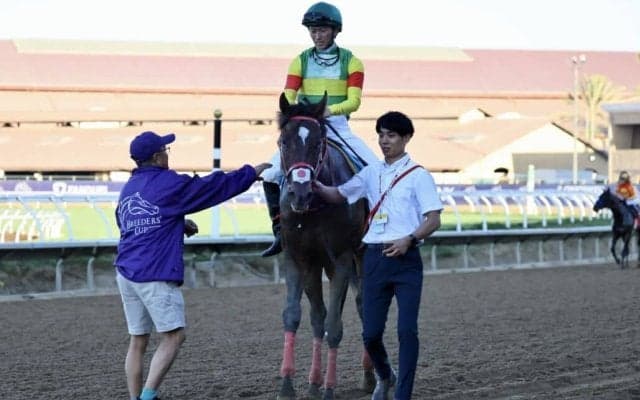 【北海道スプリントC】エコロアゼルなど出走予定馬