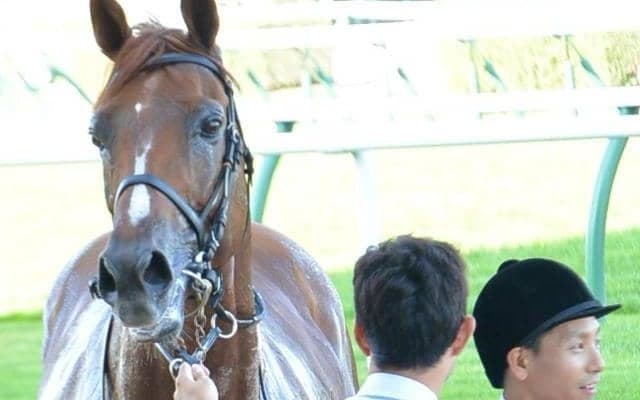 ペルーサが5年3カ月8日ぶりに勝利した札幌日経OPからちょうど10年