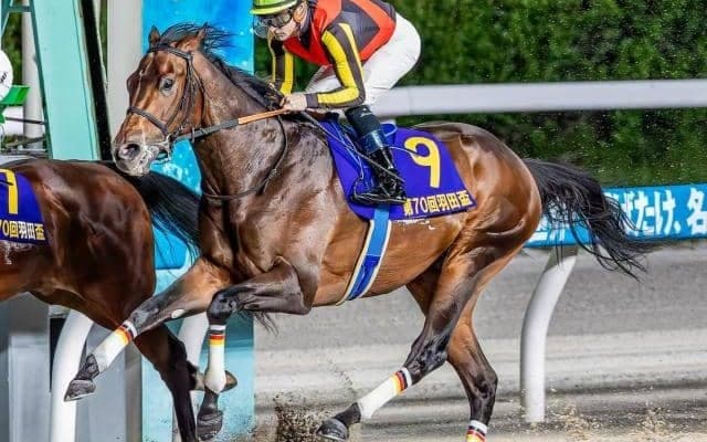 【レパードS枠順確定】ジャナドリアは4枠6番、ヴィンセンシオは6枠10番